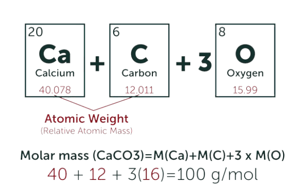 Molecular weight calculator- What you should look at for