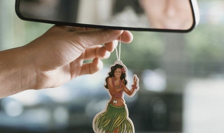 Amazing Ideas for Your Custom Air Fresheners