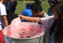 Top Business Ideas With Cotton Candy Machine Wholesale