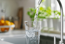 EcoViva WP-RO-600G: The Best Under-Sink RO Water Filter